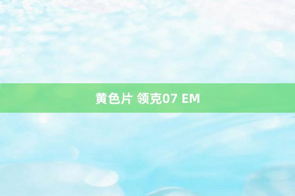 黄色片 领克07 EM