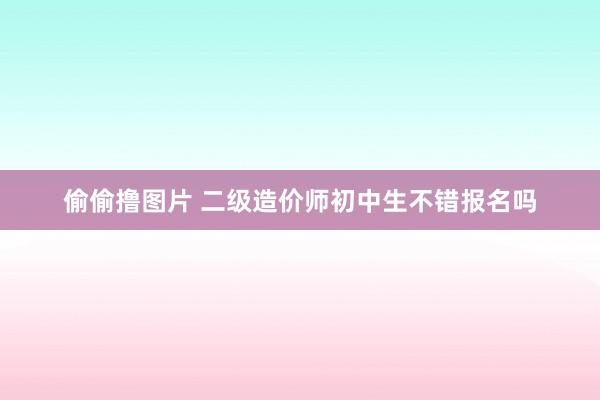 偷偷撸图片 二级造价师初中生不错报名吗