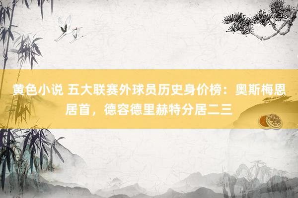 黄色小说 五大联赛外球员历史身价榜：奥斯梅恩居首，德容德里赫特分居二三