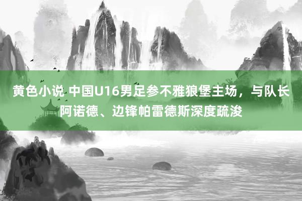 黄色小说 中国U16男足参不雅狼堡主场，与队长阿诺德、边锋帕雷德斯深度疏浚